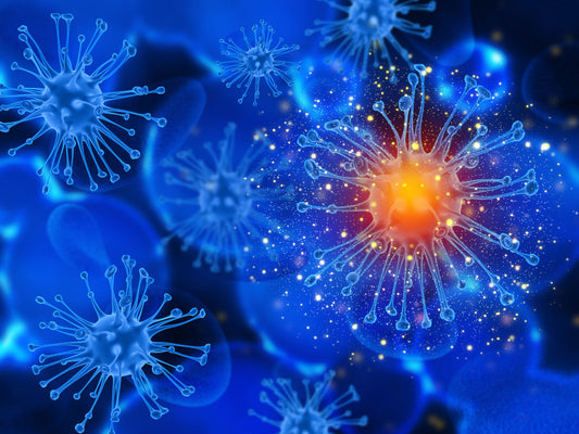 What Is SelNAC? Selenium + NAC and Your Immune System