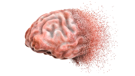 The Vitamin D–Dementia Connection