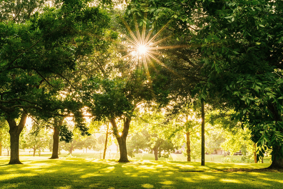 What are normal vitamin D levels in Canada?